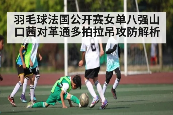 羽毛球法国公开赛女单八强山口茜对革通多拍拉吊攻防解析 | ng28.h5